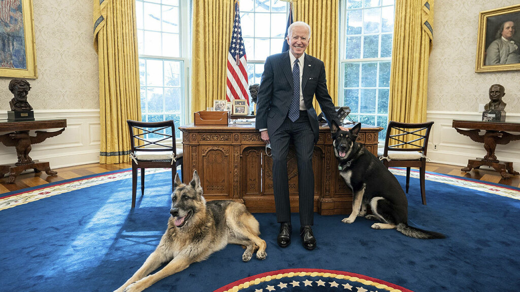 Biden'ın köpeği, saldırganlığı nedeniyle Beyaz Saray'dan uzaklaştırıldı
